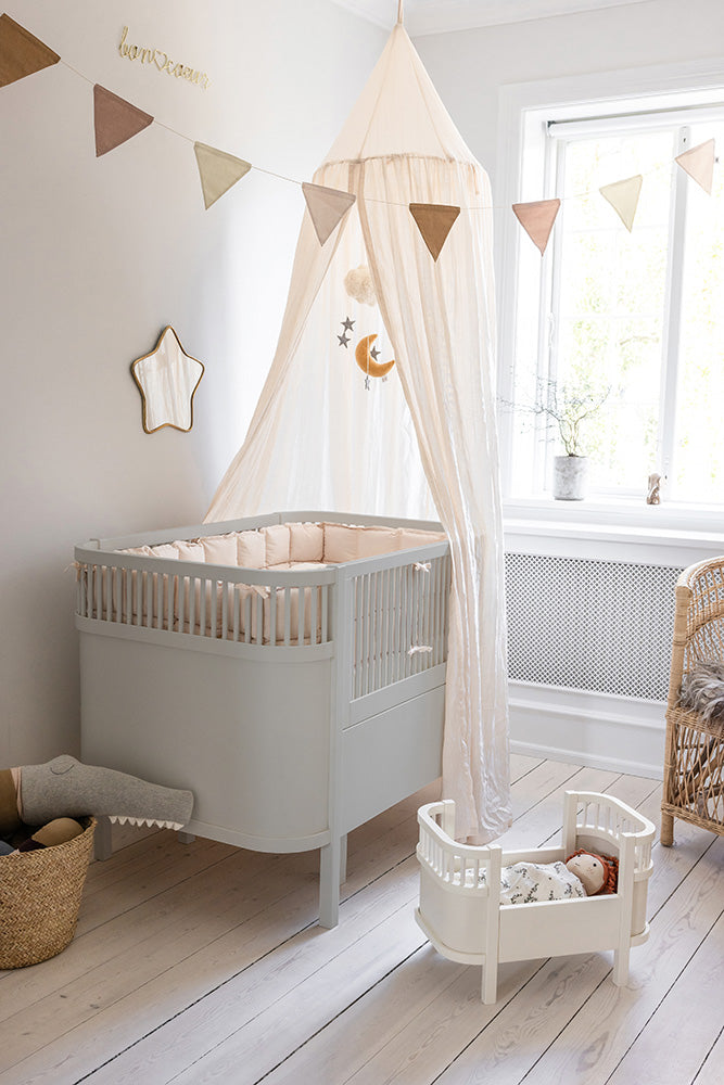 Bild von Birchbark Rose